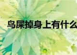 鸟屎掉身上有什么预兆（鸟屎掉身上寓意）