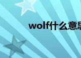 wolf什么意思中文（wolf解释）