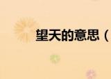望天的意思（望天的意思是什么）
