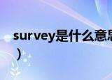 survey是什么意思呀（英语survey什么意思）