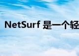  NetSurf 是一个轻量级跨平台的Web浏览器