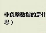 非负整数指的是什么（非负整数指的是什么意思）