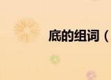 底的组词（底的组词有哪些）