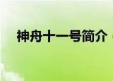 神舟十一号简介（关于神舟十一号简介）