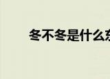 冬不冬是什么东西（是怎么解释的）