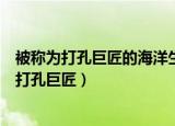 被称为打孔巨匠的海洋生物是什么（哪一种海洋生物被称为打孔巨匠）
