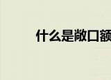 什么是敞口额度（敞口额度介绍）