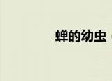 蝉的幼虫（蝉的幼虫介绍）