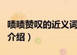 啧啧赞叹的近义词是什么（啧啧赞叹的近义词介绍）