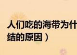 人们吃的海带为什么有时候会打个结（海带打结的原因）