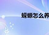 蝾螈怎么养（蝾螈饲养方法）