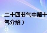 二十四节气中第十二个节气是什么（二十四节气介绍）