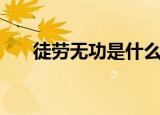 徒劳无功是什么生肖（徒劳无功解释）
