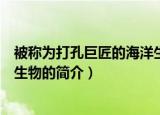被称为打孔巨匠的海洋生物是什么（被称为打孔巨匠的海洋生物的简介）