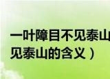 一叶障目不见泰山的意思是什么（一叶障目不见泰山的含义）