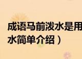 成语马前泼水是用来比喻什么呢（成语马前泼水简单介绍）