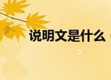 说明文是什么（说明文是什么意思）