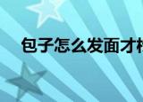 包子怎么发面才松软（详细步骤在这里）