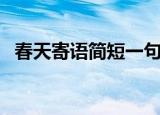 春天寄语简短一句（春天的简短寄语示例）