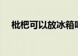 枇杷可以放冰箱吗（枇杷能不能放冰箱）