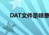 DAT文件是啥意思（DAT文件的简介）