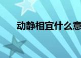 动静相宜什么意思（动静相宜的意思）