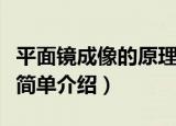 平面镜成像的原理是什么（平面镜成像的原理简单介绍）