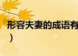 形容夫妻的成语有哪些（关于形容夫妻的成语）