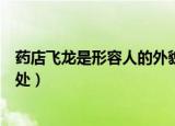 药店飞龙是形容人的外貌还是品格（药店飞龙成语解释及出处）