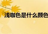 浅咖色是什么颜色（浅咖色的色调是什么）