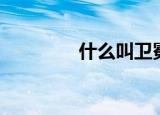 什么叫卫冕（卫冕的意思）