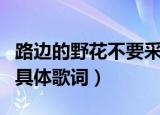 路边的野花不要采歌词（路边的野花不要采的具体歌词）