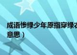 成语惨绿少年原指穿绿衣服的少年现在通常指（惨绿少年的意思）