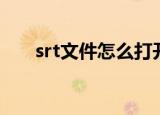 srt文件怎么打开（srt文件打开方法）