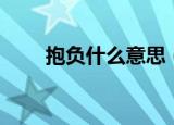 抱负什么意思（抱负意思简单介绍）