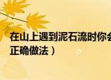在山上遇到泥石流时你会怎么做（如果在山坡上遭遇泥石流正确做法）