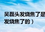 吴磊头发烧焦了是怎么回事（吴磊是怎么把头发烧焦了的）