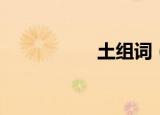 土组词（土如何组词）
