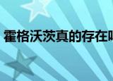 霍格沃茨真的存在吗（霍格沃茨出自哪本书）