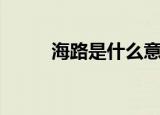 海路是什么意思（海路是何意思）