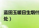 蓝田玉暖日生烟什么意思（蓝田玉暖日生烟出处）