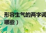 形容生气的两字词语（形容生气的两字词语有哪些）