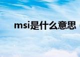 msi是什么意思（msi到底是什么意思）