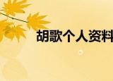 胡歌个人资料介绍（胡歌的简介）