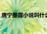唐宁墨霆小说叫什么名（唐宁墨霆小说介绍）