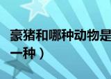 豪猪和哪种动物是近亲（豪猪的近亲动物是哪一种）