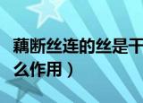 藕断丝连的丝是干什么用的（藕里面的丝是什么作用）