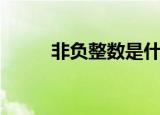 非负整数是什么（非负整数简述）