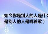 如今你是别人的人是什么歌怎能打扰你的安稳（歌词如今你是别人的人是哪首歌）