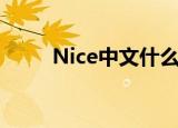 Nice中文什么意思（Nice的意思）
